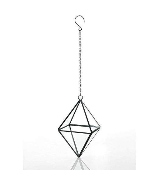 Geometric Glass Plant