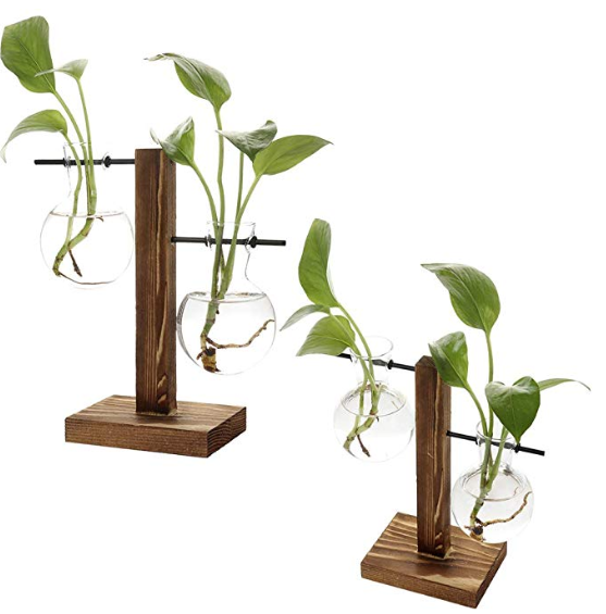 Hydroponic Vase Vintage